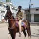 horses-in-india-the-native-marwari-horse