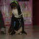 dog-fashion-show-a-different-experience-both-for-humans-and-dogs
