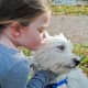 Westies are great with kids as long as they have time for other activities.
