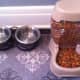 Providing a clean area for your cats to eat and drink will be appreciated.