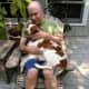 Should the Brittany be classified as a lap dog?