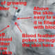 A diagram of a blood feather shaft.