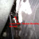 N. Engine mounting bracket bolt removal