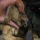 how-to-change-the-brakes-on-a-ford-expedition-2007-2017