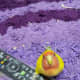My lovebird, Mumu, loves to try what I do. Here, he is trying to hold the TV remote.