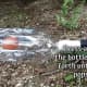The egg will pop up into the bottle, and the strips of plastic will hold it in place.
