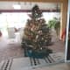 cat-proof-your-christmas