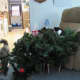 My aunt's cat successfully destroyed the Christmas tree last year.