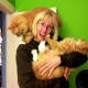 These orange tabby cats are large and in charge -- exactly the way their cat lady likes them.