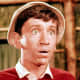 Gilligan always dumbed it down with the Skipper and had a fantastic, long-running career as the first mate. The perks of the job included living in a bamboo hut and sleeping in a hammock above a man who probably snored and smelled bad.