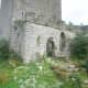 Clonony Castle Entrance