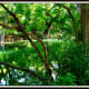 Cypress Creek at Wimberley