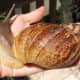 snail-farming-things-to-know-before-starting-your-snail-farm-business