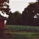 Holt's Produce Farm in 1984. The red corn crib building is still there and is about 100 years old. 