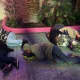 Homeless people in Las Vegas