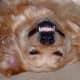 This is my best toothy grin!