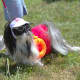 Wearing my shades