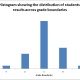 Example of a Histogram, created using the Histogram Tool from the Analysis Toolpak in Excel 2007 and Excel 2010.