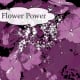 An abstract version of my flower photo that was created in the previous version of the online editor