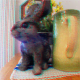 红青色三维立体图像的兔子雕塑和花瓶。
