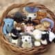 BASKET OF BEST FRIENDS
