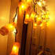 Consider using LED light strands which do not get as hot as regular strands.