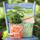 spring-crafts-ideas-for-kids-easy-fun-art-projects