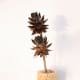 recycle-what-to-do-with-wine-corks-crafts-art-projects-ideas