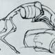 An example of a deer that has been drawn by speed sketching the skeleton.