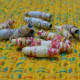 Paper beads made from maps