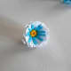 Fringed flower with yellow and blue centre.