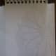 Positioning the outline onto the sketchbook, ready for tracing and transferring the image.