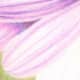 painting-flowers-with-colored-pencils