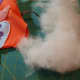 2. Stuff the toy with fiberfill.