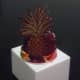 K-cup Barbie hat with pineapple. Philip Treacy, eat your heart out!