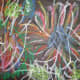 Fireworks art done with oil pastel on black construction paper.