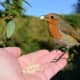 Background out of focus but sufficient depth of field to get most of my hand and Robby into focus!