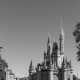 The iconic Cinderella Castle in black and white.