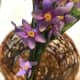 Using craft wire, attach flowers at the base of the basket and work up the handle. Wrap wire around the handle and avoid mashing flowers and leaves.