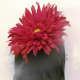 Using wire cutters, trim the flower stems to about 3 inches long.