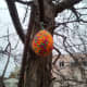 This Easter egg is hanging on the branch of a tree at a small public park.