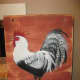 Black and White Rooster
