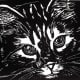 Untitled cat face linocut by Peggy Woods