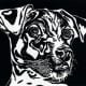 Linocut titled "J.R." by Peggy Woods