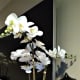 Before and after: Gluing tea bags to the stretched canvas and result with paper towel flowers
