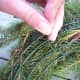 christmaswreathhowtomakeanevergreenwreath