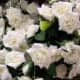 silk-wedding-flowers-save-money