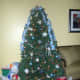 Our Christmas tree, 2010