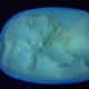 Vanilla ice cream has a yellow glow.