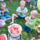 Watermelon Eating Contest